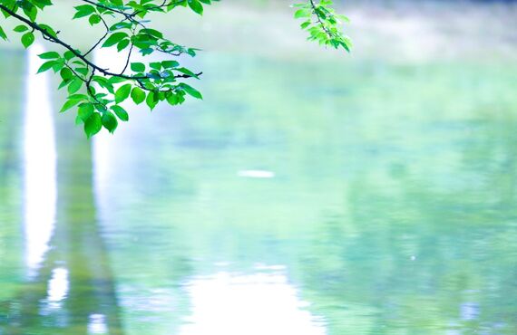 個人参加募集！！お気軽に参加可能！水曜日・土曜日・日曜日開催！フットサルカフェエリアにて