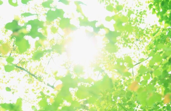 EEE（EARTH ENJOY ENTRANCE）リーグ